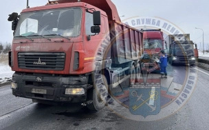 На трассе М-10 в Ленобласти столкнулись два грузовика