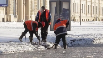 В Петербурге вырос спрос на дворников и уборщиков