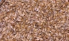 В Ленобласти запретили ввоз более 23 тонн ячменного и пшеничного солода
