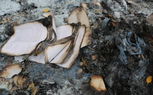 В Ленобласти во время пожара в дачном домике погибла пожилая пара