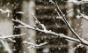 Петербуржцев предупредили о сильном снегопаде вечером 29 ноября