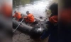 В реке Оредеж обнаружили труп мужчины