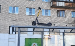 В Петербурге на крыше остановки заметили электросамокат