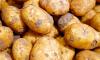 В Ленобласти продавщица картошки украла у пенсионерки 160 тысяч рублей