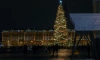 Стало известно, какую новогоднюю елку установят на Дворцовой площади