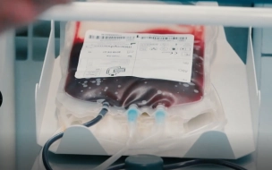 Более 700 доноров сдали кровь в Ленобласти