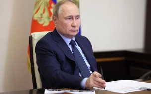 Путин оценил идею "паспортов" семей мобилизованных