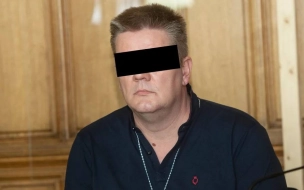 Муж убитой и расчленённой в Германии петербурженки получил пожизненный срок