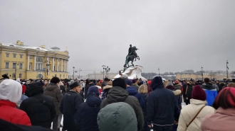 Митянина рассказала о задержаниях детей во время митинга в Петербурге