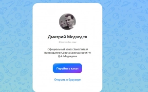 Медведев: уровень подготовки президента Финляндии Стубба ниже плинтуса