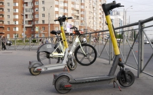 Петербуржцы высказались за введение крупных штрафов для пользователей СИМ