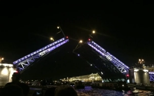 Технические разводки мостов Петербурга завершат в конце декабря