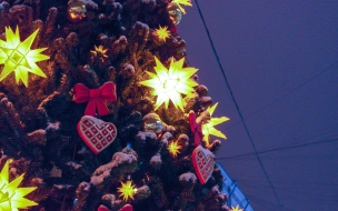 Где жители Петербурга смогут купить живую ёлку на Новый год