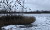 Спасатели сняли порядка 100 человек со льда на реке Глухарке в Петербурге