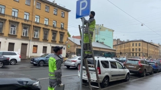 В комтрансе назвали самую загруженную платную стоянку Петербурга