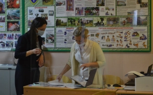 На "исчезающие чернила" при надомном голосовании в Горизбирком пожаловалась депутат Драпенко