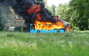 В Смольном задумались о проблеме горящих автобусов спустя 3 месяца после первого ЧП
