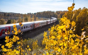 На ноябрьские праздники из Петербурга назначат дополнительные поезда