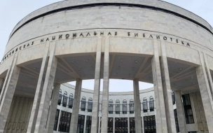 Новым гендиректором РНБ стал Денис Цыпкин