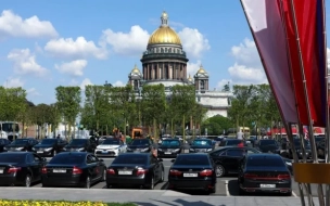 Кусты из липового сада на Исаакиевской площади в Петербурге переезжают