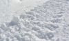 В Ленинградской области в субботу обещают тепло и снегопад