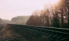 В Ленобласти задержали похитителей почти 4 тонн железнодорожных рельс