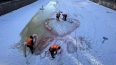 Петербуржцев попросили не оставлять надписи на льду ...
