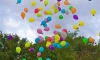 Петербуржцев попросили отказаться от запуска воздушных шаров из-за вреда экологии