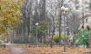 В сквере Товстоногова продолжается реставрация освещения
