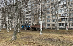 Муниципалитеты 6 районов Петербурга могут лишиться полномочий уборки дворов