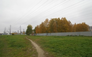 Суд отказался исключать участок Муринского парка из списка ЗНОП
