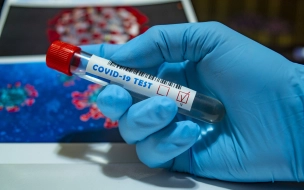 В Петербурге за сутки выявили 812 случаев заражения коронавирусом