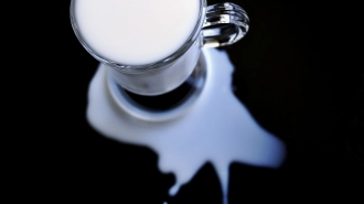 ГК "Молочная культура" из Ленобласти может стать банкротом