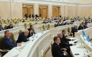 Депутаты не поддержали запрос Вишневского об источнике средств для матпомощи военным именных батальонов