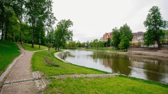 В Смольном рассказали, сколько было высажено деревьев, цветов и кустарников в прошлом году