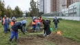 Около 200 тыс. петербуржцев приняли участие в Дне ...