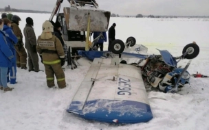 Стала известна причина падения легкомоторного самолета в Ломоносовском районе
