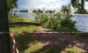 Петербургские парки, сады и скверы закрыли из-за непогоды