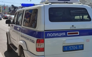 Молодой "пират" отобрал две бутылки рома у грузчика в Петергофе
