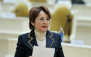 Депутат Оксана Дмитриева рассказала о своих планах в выборный год