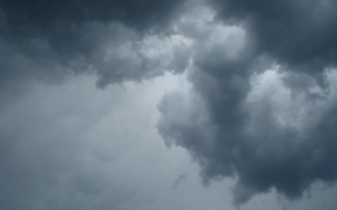 В Ленобласти в последний понедельник сентября обещают дождь и туман