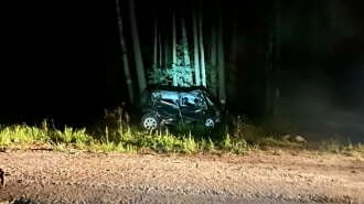 Пьяный водитель угодил в кювет на дороге "Псков-Гдов-Сланцы-Кингисепп-Краколье"