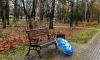 Петербург оказался в теплом секторе циклона 26 октября