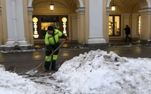 Петербург не страдает от дефицита дворников в преддверии зимы