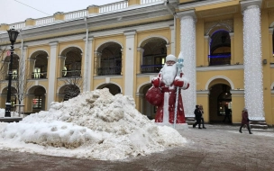 МЧС: в Петербурге 27 декабря ожидаются порывы ветра до 15 м/с
