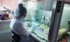 В России на производство тестов на коронавирус выделят 3,3 млрд рублей 