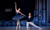 В Петербурге пройдет международный фестиваль балета Dance Open 