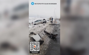 В результате ДТП в Шушарах погибли двое