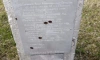 В Ленобласти неизвестные вандалы  расстреляли мемориал "Скорбящий матрос" 