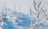 В Ленобласти 3 марта ожидается до +1 градуса